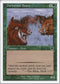 Durkwood Boars (127) [Starter 1999]