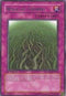Wall of Thorns (CRMS-EN079) [Crimson Crisis]