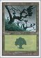 Forest (331) [7th Edition]