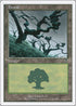 Forest (331) [7th Edition]