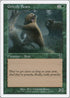 Grizzly Bears [7th Edition]