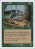 Lone Wolf [7th Edition]
