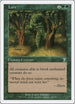 Lure [7th Edition]