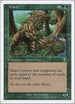 Maro [7th Edition]