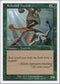 Redwood Treefolk [7th Edition]