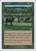 Rowen [7th Edition]