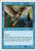 Sage Owl [7th Edition]