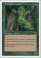 Shanodin Dryads [7th Edition]