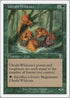 Uktabi Wildcats [7th Edition]