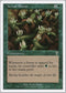 Vernal Bloom [7th Edition]