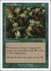 Vernal Bloom [7th Edition]