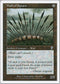 Wall of Spears [7th Edition]