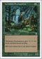 Yavimaya Enchantress [7th Edition]