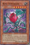 Rose Tentacles (RGBT-EN007) [Raging Battle]