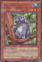 Tree Otter (RGBT-EN095) [Raging Battle]