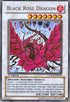 Black Rose Dragon (CSOC-EN039) [Crossroads of Chaos]