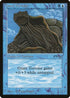 Giant Tortoise [Arabian Nights]