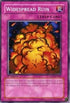 Widespread Ruin (5DS2-EN040) [5D's Starter Deck 2009]