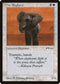 War Elephant [Arabian Nights]
