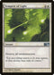 Tempest of Light [Magic 2010 (M10)]