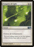 Tempest of Light [Magic 2010 (M10)]