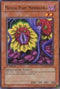 Magical Plant Mandragola (SDSC-EN012) [Structure Deck: Spellcaster's Command]