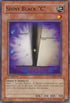 Shiny Black "C" (ANPR-EN024) [Ancient Prophecy]