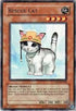 Rescue Cat (TU01-EN008) [Turbo Pack Booster One Pack]