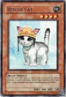 Rescue Cat (TU01-EN008) [Turbo Pack Booster One Pack]