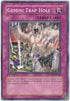 Gemini Trap Hole (SDWS-EN038) [Structure Deck: Warriors' Strike]