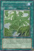 Raging Mad Plants (SOVR-EN060) [Stardust Overdrive]
