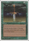Storm Seeker [Chronicles]