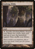 Evolving Wilds (228) [Rise of the Eldrazi]