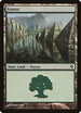 Forest (246) [Rise of the Eldrazi]