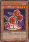 Revival Rose (TSHD-EN016) [The Shining Darkness]