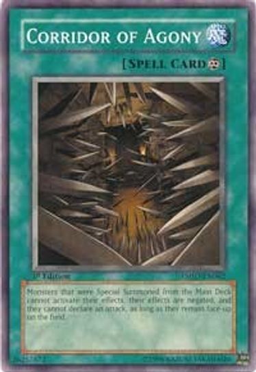 Corridor of Agony (TSHD-EN062) [The Shining Darkness]