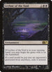 Leyline of the Void (101) [Magic 2011 (M11)]