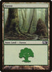 Forest (246) [Magic 2011 (M11)]