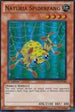 Naturia Spiderfang (HA02-EN040) [Hidden Arsenal 2]