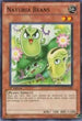 Naturia Beans (DREV-EN028) [Duelist Revolution]
