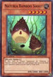Naturia Bamboo Shoot (DREV-EN029) [Duelist Revolution]