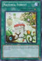 Naturia Forest (DREV-EN051) [Duelist Revolution]