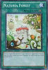 Naturia Forest (DREV-EN051) [Duelist Revolution]
