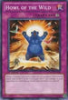 Howl of the Wild (DREV-EN065) [Duelist Revolution]