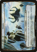 Minamo (Planechase) [Oversize Cards]