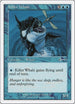 Killer Whale (11) [Beatdown Box Set]