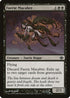 Faerie Macabre [Duel Decks: Garruk vs. Liliana]