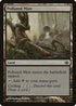 Polluted Mire [Duel Decks: Garruk vs. Liliana]