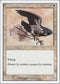 Royal Falcon [Starter 2000]