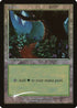 Forest ( Beta) [Arena Promos]